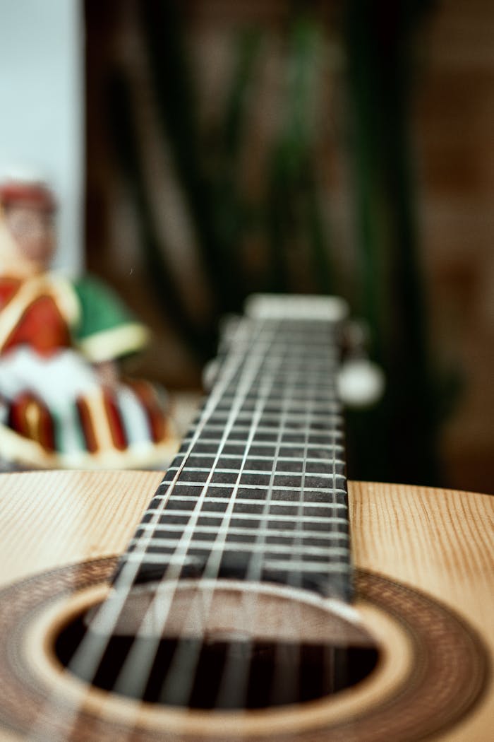 Artistic focus on guitar fretboard with blurred background, highlighting strings.