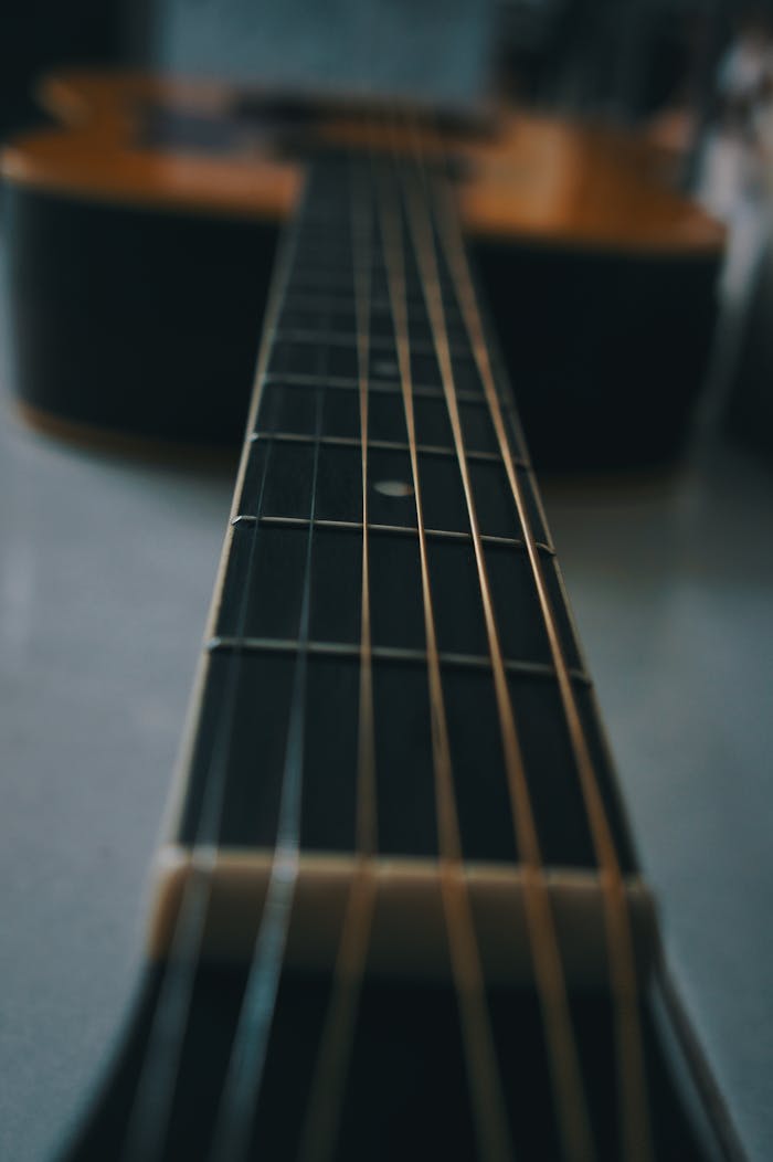 Artistic close-up of an acoustic guitar fretboard with blurred background.